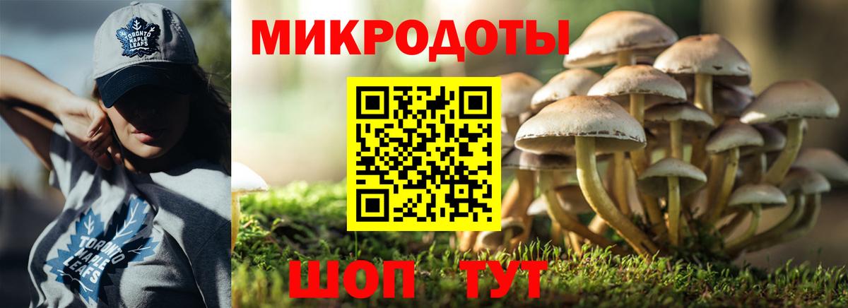 Галлюциногенные грибы ЛСД Прохладный