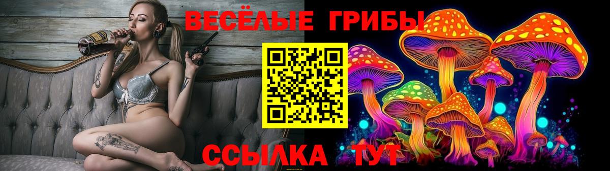 Галлюциногенные грибы ЛСД  где купить   Вход с VPN  Прохладный  Галлюциногенные грибы Magic Shrooms 